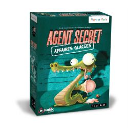 JEU AGENT SECRET - AFFAIRES GLACÉES